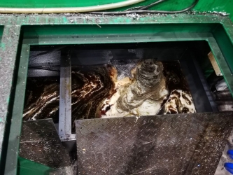 znečištěná nádrž s chladící emulzí před čištěním